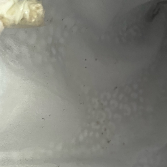 Autograph brand beach bag. Black and white with rope handles. Used. - Picture 10 of 10